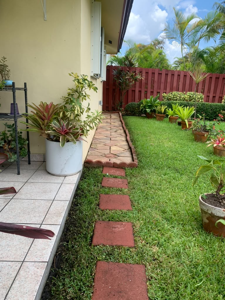After — Walkway Moss Removal in South Florida
