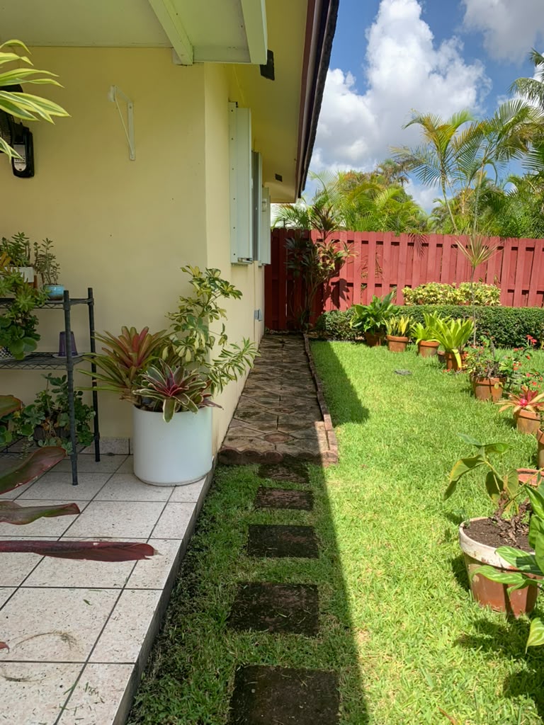 Before — Walkway Moss Removal in South Florida